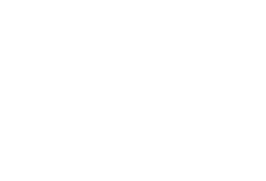 Avery Denison Logo W